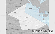Gray Map of Vesyegonskiy