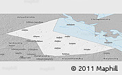Gray Panoramic Map of Vesyegonskiy