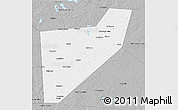 Gray 3D Map of Zapadnodvinskiy
