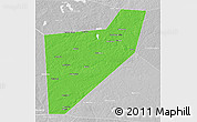 Political 3D Map of Zapadnodvinskiy, lighten, desaturated