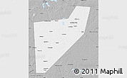 Gray Map of Zapadnodvinskiy
