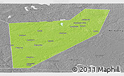 Physical Panoramic Map of Zapadnodvinskiy, desaturated