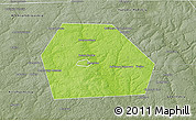 Physical 3D Map of Kolchuginskiy, semi-desaturated