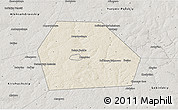 Shaded Relief 3D Map of Kolchuginskiy, semi-desaturated