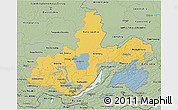 Savanna Style 3D Map of Irkutsk Oblast