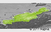 Physical 3D Map of Diksonskiy, darken, desaturated