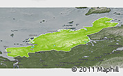 Physical 3D Map of Diksonskiy, darken, semi-desaturated