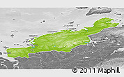 Physical 3D Map of Diksonskiy, desaturated