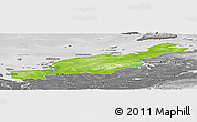 Physical Panoramic Map of Diksonskiy, desaturated
