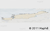 Shaded Relief Panoramic Map of Diksonskiy, lighten, semi-desaturated