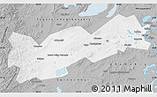 Gray Map of Poliny Osipenko. imeni