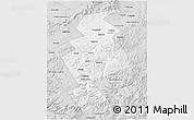 Silver Style 3D Map of Anuchinskiy