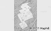 Gray Map of Anuchinskiy