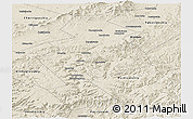 Shaded Relief Panoramic Map of Anuchinskiy