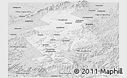 Silver Style Panoramic Map of Anuchinskiy
