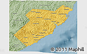 Savanna Style 3D Map of Olginsky