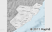 Gray Map of Olginsky