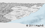 Gray Panoramic Map of Olginsky