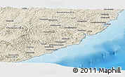 Shaded Relief Panoramic Map of Olginsky