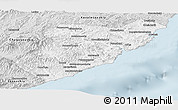 Silver Style Panoramic Map of Olginsky