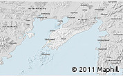 Silver Style 3D Map of Vladivostok