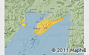 Savanna Style Map of Vladivostok