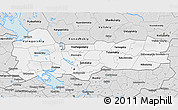 Silver Style 3D Map of Vologda Oblast