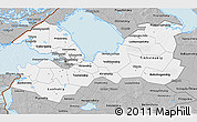 Gray 3D Map of Leningrad Oblast