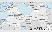 Silver Style 3D Map of Leningrad Oblast