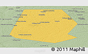 Savanna Style Panoramic Map of Volosovskiy