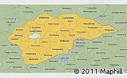 Savanna Style 3D Map of Novgorod Oblast