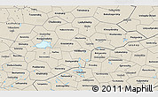 Shaded Relief 3D Map of Novgorod Oblast