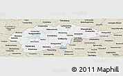 Classic Style Panoramic Map of Novgorod Oblast