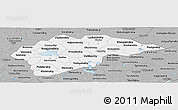 Gray Panoramic Map of Novgorod Oblast