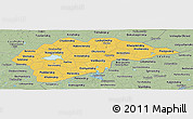 Savanna Style Panoramic Map of Novgorod Oblast