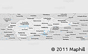 Silver Style Panoramic Map of Novgorod Oblast