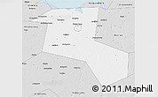 Silver Style 3D Map of Starorusskiy