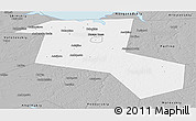 Gray Panoramic Map of Starorusskiy