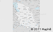 Silver Style Map of Pskov Oblast