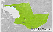 Physical 3D Map of Pskovskiy, lighten, desaturated