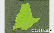 Physical 3D Map of Pytalovskiy, darken, semi-desaturated