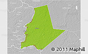 Physical 3D Map of Pytalovskiy, lighten, desaturated