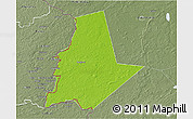 Physical 3D Map of Pytalovskiy, semi-desaturated