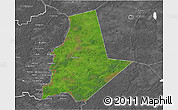 Satellite 3D Map of Pytalovskiy, desaturated