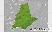 Satellite 3D Map of Pytalovskiy, lighten, desaturated