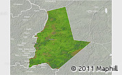 Satellite 3D Map of Pytalovskiy, lighten, semi-desaturated