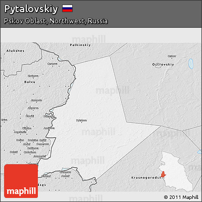 Silver Style 3D Map of Pytalovskiy