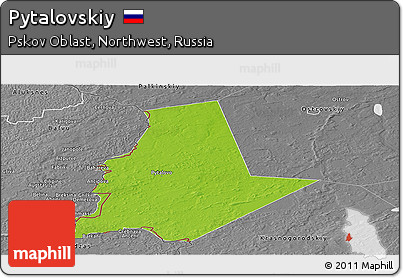 Physical Panoramic Map of Pytalovskiy, desaturated