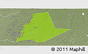 Physical Panoramic Map of Pytalovskiy, semi-desaturated