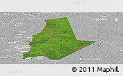 Satellite Panoramic Map of Pytalovskiy, lighten, desaturated